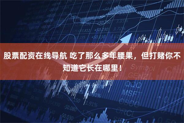 股票配资在线导航 吃了那么多年腰果，但打赌你不知道它长在哪里！