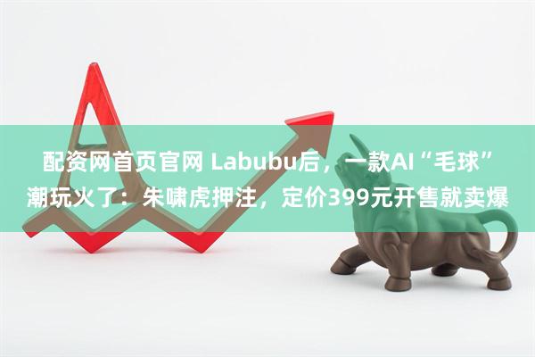 配资网首页官网 Labubu后，一款AI“毛球”潮玩火了：朱啸虎押注，定价399元开售就卖爆
