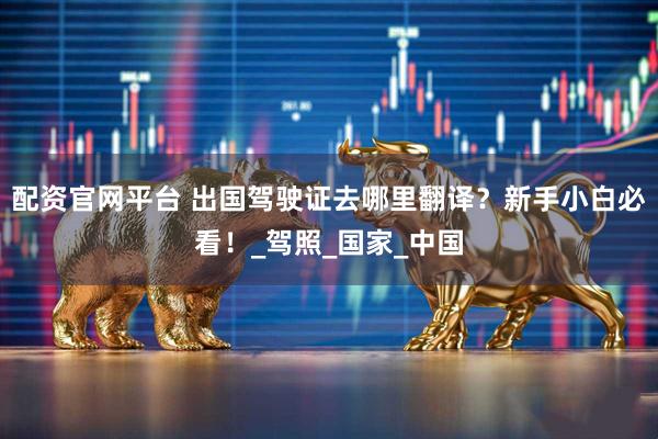 配资官网平台 出国驾驶证去哪里翻译？新手小白必看！_驾照_国家_中国