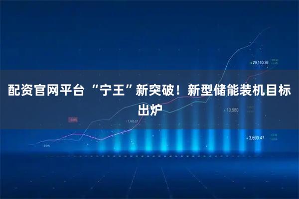 配资官网平台 “宁王”新突破！新型储能装机目标出炉